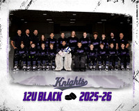 12U BLACK TP TEMPLATE 16X20 300DPI