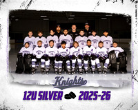 12U SILVER TP TEMPLATE 16X20 300DPI