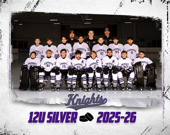 12U SILVER TP TEMPLATE 16X20 300DPI