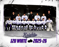 12U WHITE TP TEMPLATE 16X20 300DPI