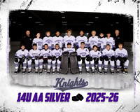 14U SILVER TP TEMPLATE 16X20 300DPI