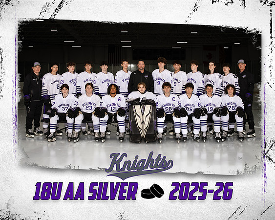 18U SILVER TP TEMPLATE 16X20 300DPI