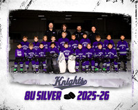 8U SILVER TP TEMPLATE 16X20 300DPI