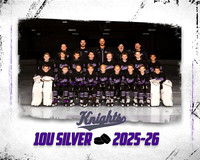 10U SILVER TP TEMPLATE 16X20 300DPI