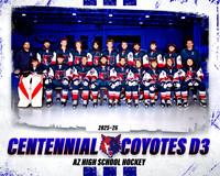 D3 TEAMPLATE TEAM copy