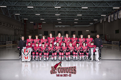 team with coyote
