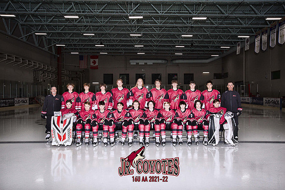 team with coyote