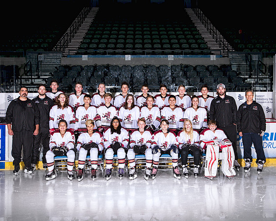 TEAM