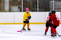 9 - Youth Hockey