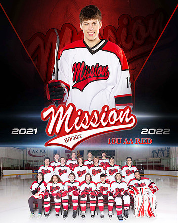 12U WHITE MISSION MEMORY MATE