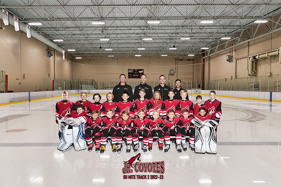 offical team